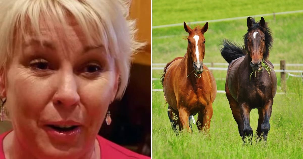 horse4.jpg?resize=1200,630 - Heartbroken Mother Speaks Out After Her Daughter Spent Thousands To Transform Herself Into A HORSE