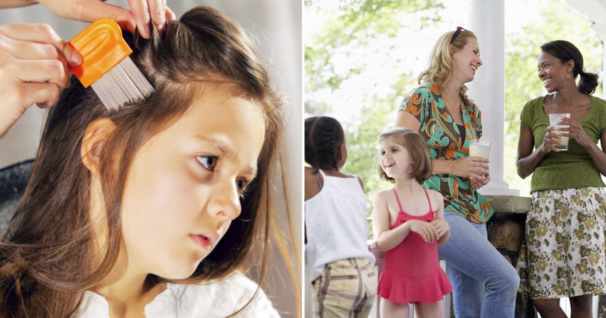 lice2.jpg?resize=412,275 - 'My Neighbor REFUSES To Get Rid Of Her Daughter's Head Lice And Her Excuse Is That She Is Vegan And Doesn't Want To Kill Living Creatures'