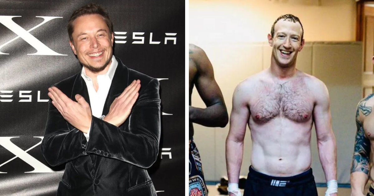 t6.png?resize=1200,630 - BREAKING: Elon Musk's Cage Fight With Mark Zuckerberg Is CONFIRMED