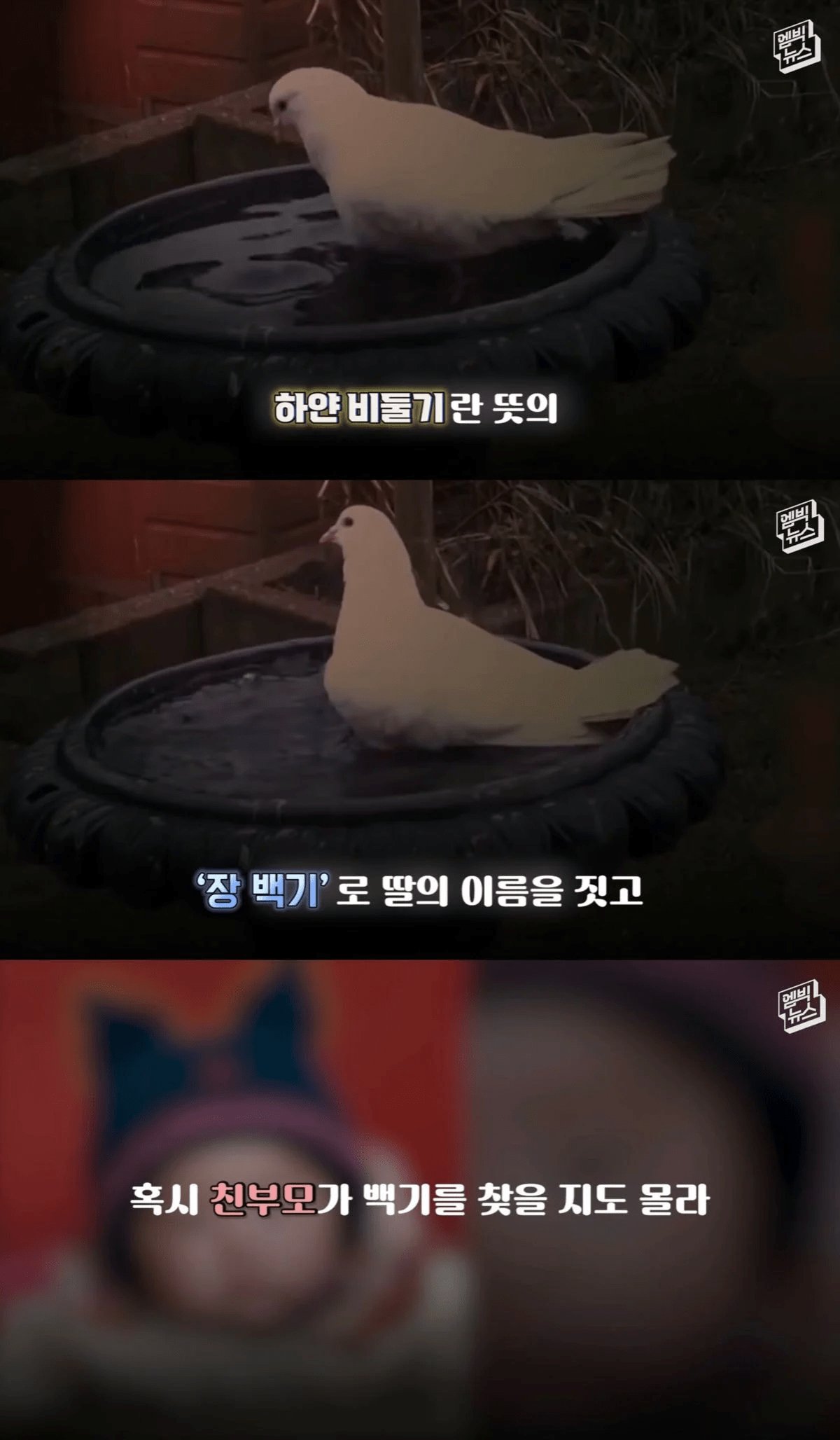 image.png 버려졌던 갓난아기의 보은… 노총각 아빠에게 일어난 기적