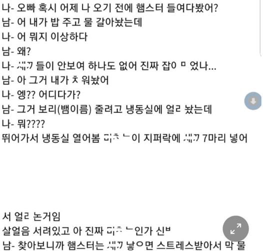 2 1.jpg?resize=1200,630 - 햄스터 때문에 이혼하게 생긴 부부