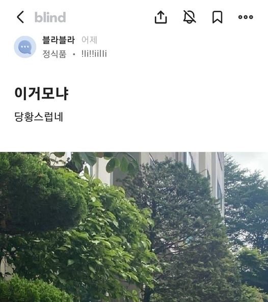 2 6.jpg?resize=412,232 - 블라인드를 혼란에 빠뜨린 사진 한장