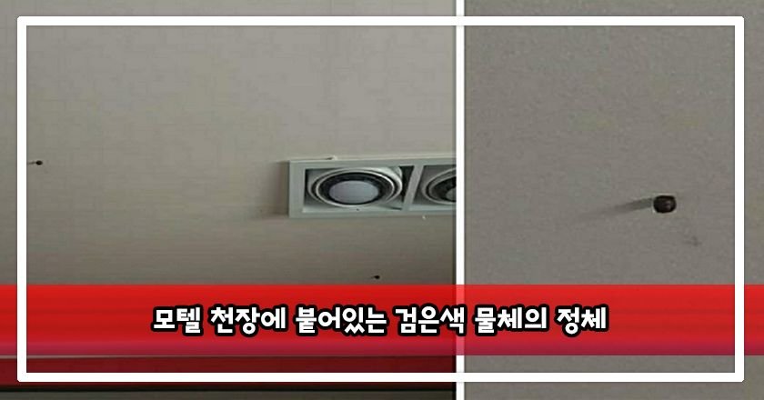 2 1.jpg?resize=412,232 - 모텔 천장에 붙어있는 검은색 물체의 정체