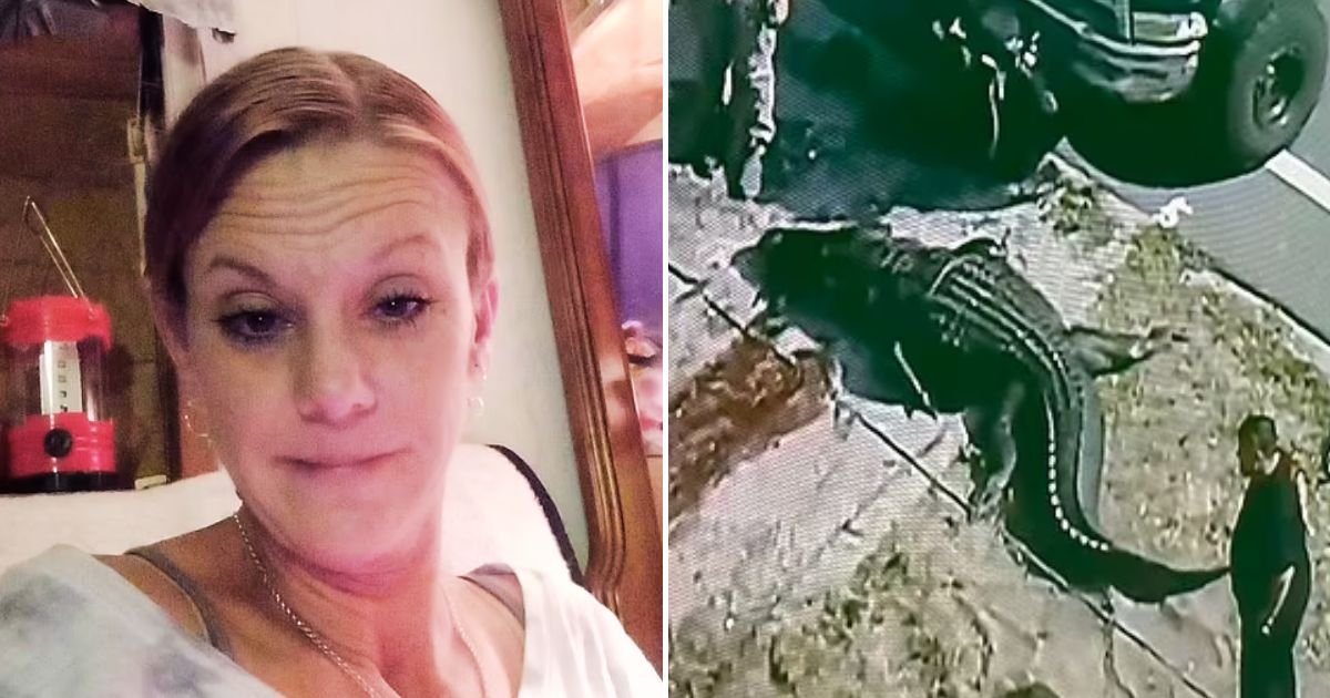 alli4.jpg?fit=1024%2C538&ssl=1&strip=all - Mother DRAGGED Into A Canal And Eaten By 14ft ALLIGATOR While She Was Walking To Her Camp In The Dark