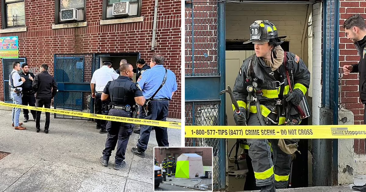 d68 1.jpg?resize=412,275 - BREAKING: One-Year-Old Baby DIES & Three More Hospitalized After Eating FENTANYL At Daycare Center In The Bronx