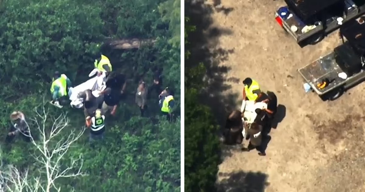 d84.jpg?resize=412,275 - BREAKING: Wild Black Bear On The Loose At Disney World’s Magic Kingdom Sparks Panic Among Tourists