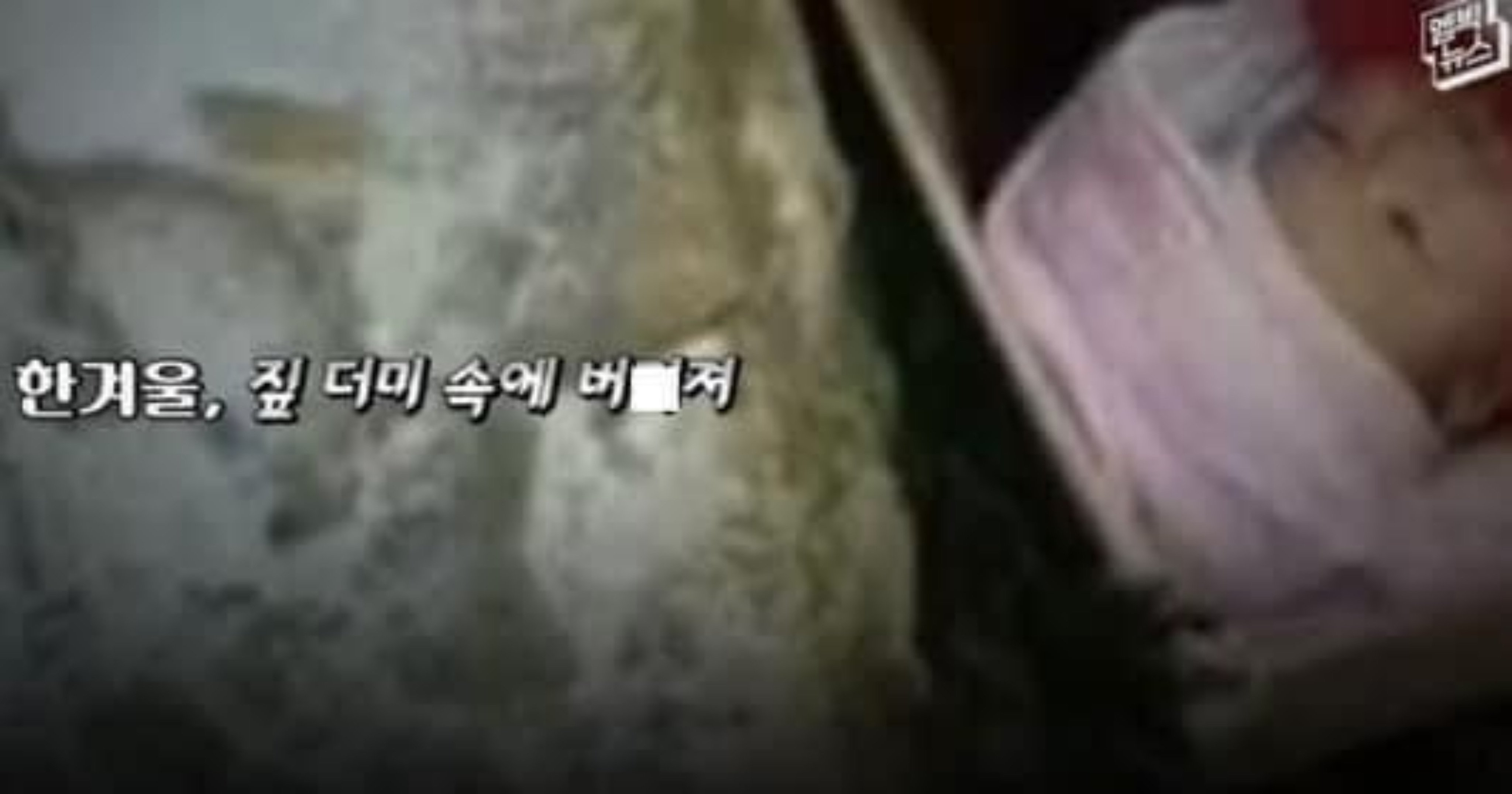 e5b44fa6 3fc3 46f2 a59f 34a610302bb6.jpeg?resize=412,232 - ㅂ려졌던 갓난아기의 보은,, 노총각 아빠에게 일어난 기적