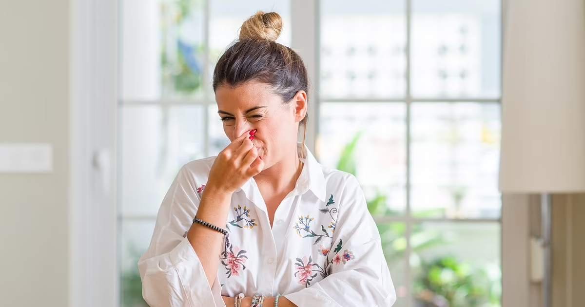 m1 3 1.jpeg?resize=412,232 - "I Can't Stand The Smelly Body Odor Coming From My Obese Work Colleague! Will It Be Wrong To Complain To HR?"