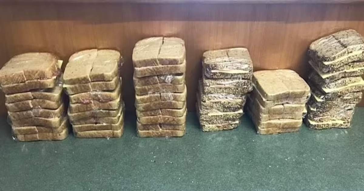 m2 2 2.jpeg?resize=412,275 - “Kids Need Fresh Food, You’re Disgusting!”- Mom Causes A Massive Debate For Prepping School Lunches FIVE WEEKS In Advance