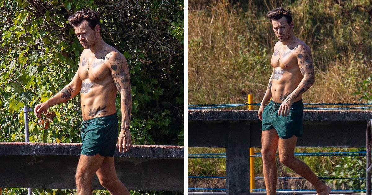 m3 1 2.jpeg?resize=412,275 - EXCLUSIVE: Harry Styles Leaves Fans ‘Hot Under The Collar’ As Shirtless Star Displays Toned Abs & Tattoos Before Taking A Swim