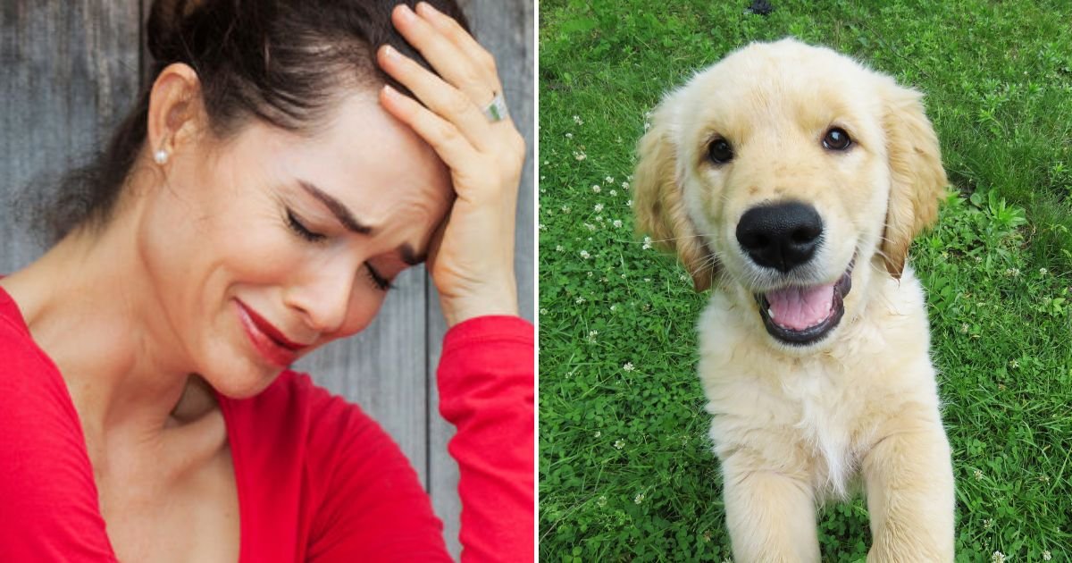 puppy4.jpg?resize=412,275 - 'My Mom And Dad Burst Into TEARS After Hearing The Name I Gave To My Dog! Am I The One In The Wrong For Refusing To Change It?'