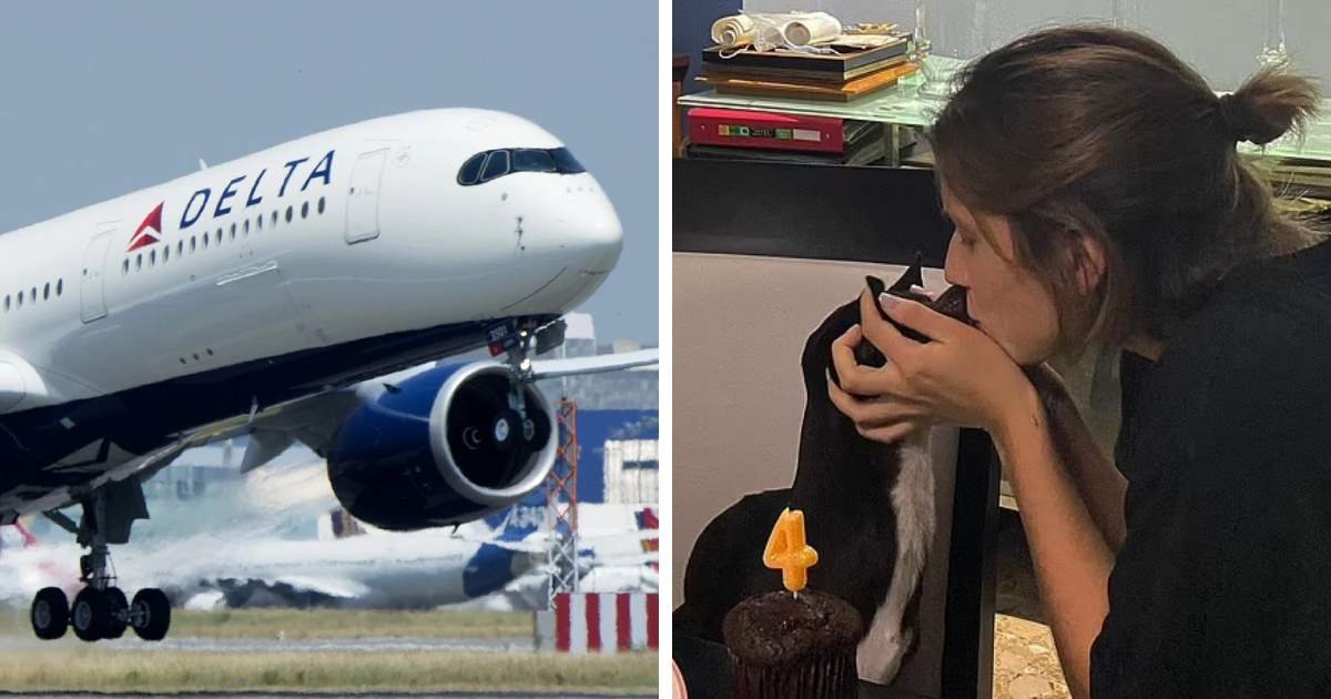 t5 2.jpeg?resize=412,275 - JUST IN: Delta Airlines BLASTED For LOSING Passenger's Pet Dog & Providing $1800 In Return