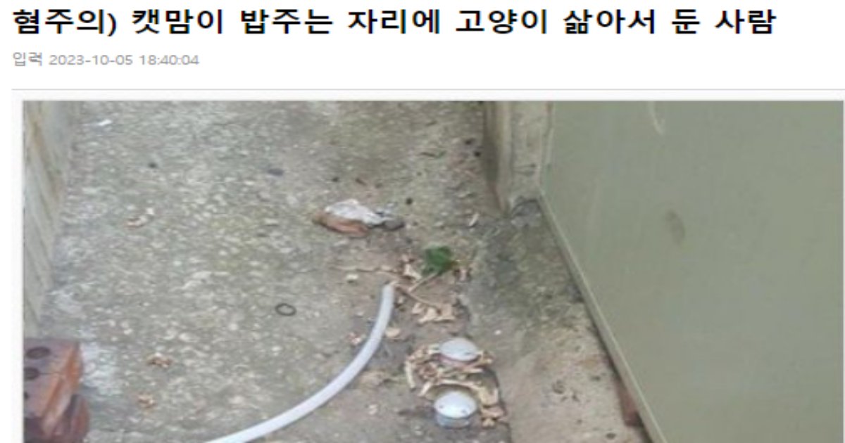 1 14.png?resize=1200,630 - 캣맘이 밥주는 자리에 냥이를..... 삶아서 둔 사람 ㄷㄷ