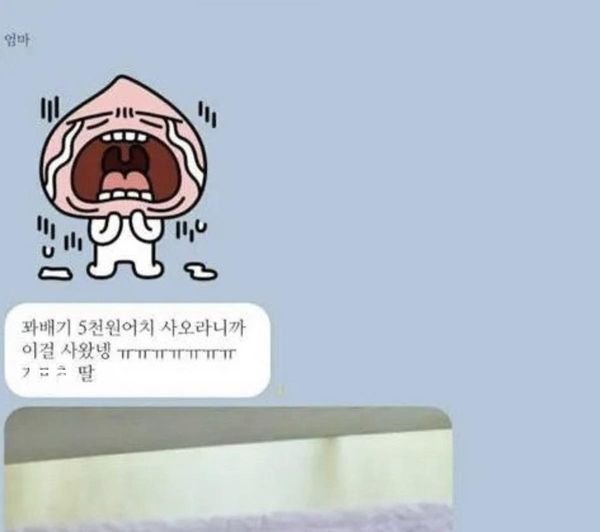1 3.jpg?resize=412,232 - 엄마가 꽈배기 5천원어치 사오래서 사갔는데 ㅇ함ㄷㄷ 