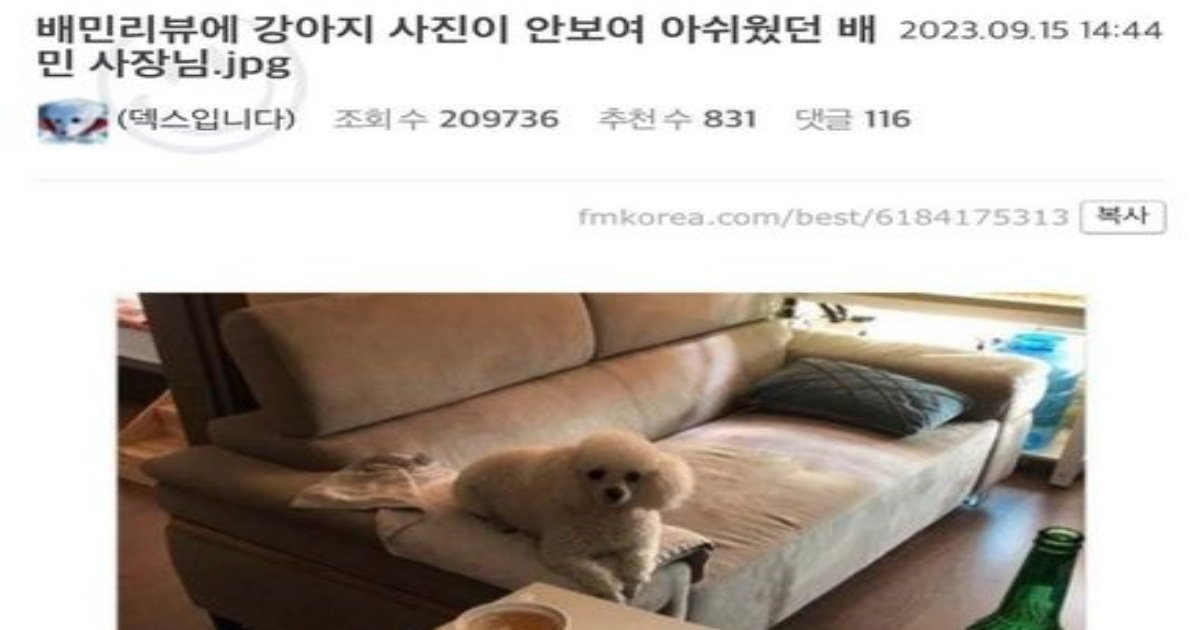 1 33.jpg?resize=1200,630 - 배민리뷰에 강아지 사진이 안보여 아쉬웠던 사장님 . . (+후기)