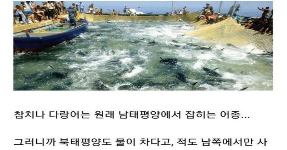 222.jpg?resize=1200,630 - 앞으로 동해에서 명태, 오징어가 영원히 안 잡히는 이유ㄷㄷ