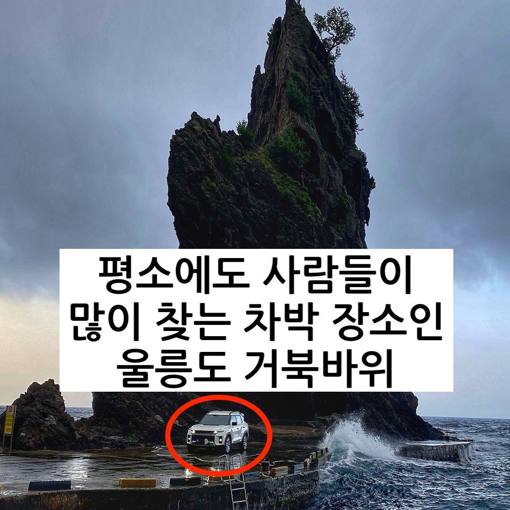5 1.jpg?resize=412,232 - 오늘자 울릉도 거북바위 붕괴사고 ㄷㄷ