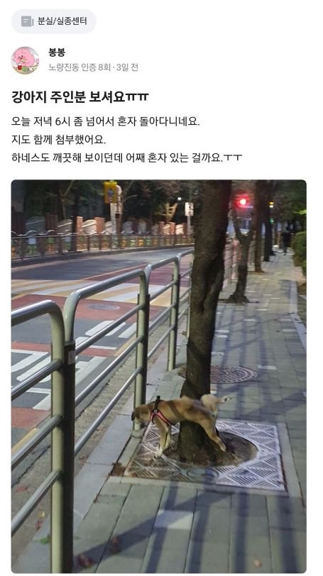 8 1 6.jpg?resize=412,232 - 당근에 올라온 강아지의 정체..