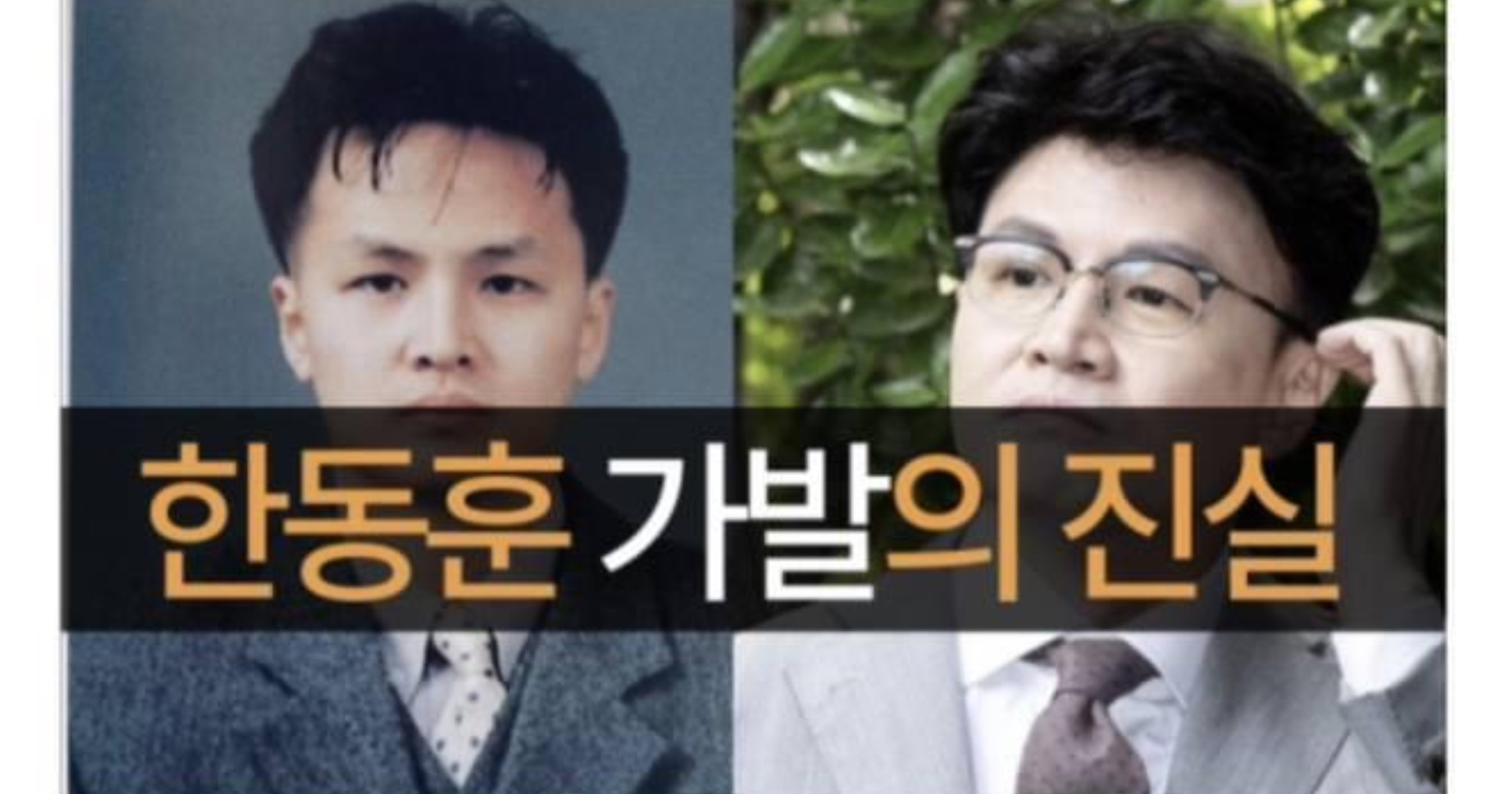 b155cbbf 438c 4cfe a601 7fc9f4a43320.jpeg?resize=412,232 - 한동훈 가발 분석한 가발업체 사장님