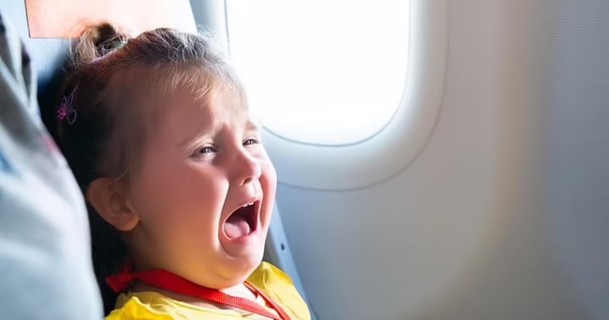 d3 1 1.jpeg?resize=1200,630 - JUST IN: Airline Leaves Netizens Divided After Launching ‘Adults-Only’ Section Where Babies & Kids Are BANNED From Entering The Rest Of The Aircraft 