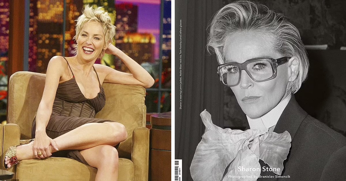 d43.jpg?resize=412,275 - “What Has Gotten Into Her!”- Daring Sharon Stone Shocks Fans While Posing In Undies & Fishnet Stockings