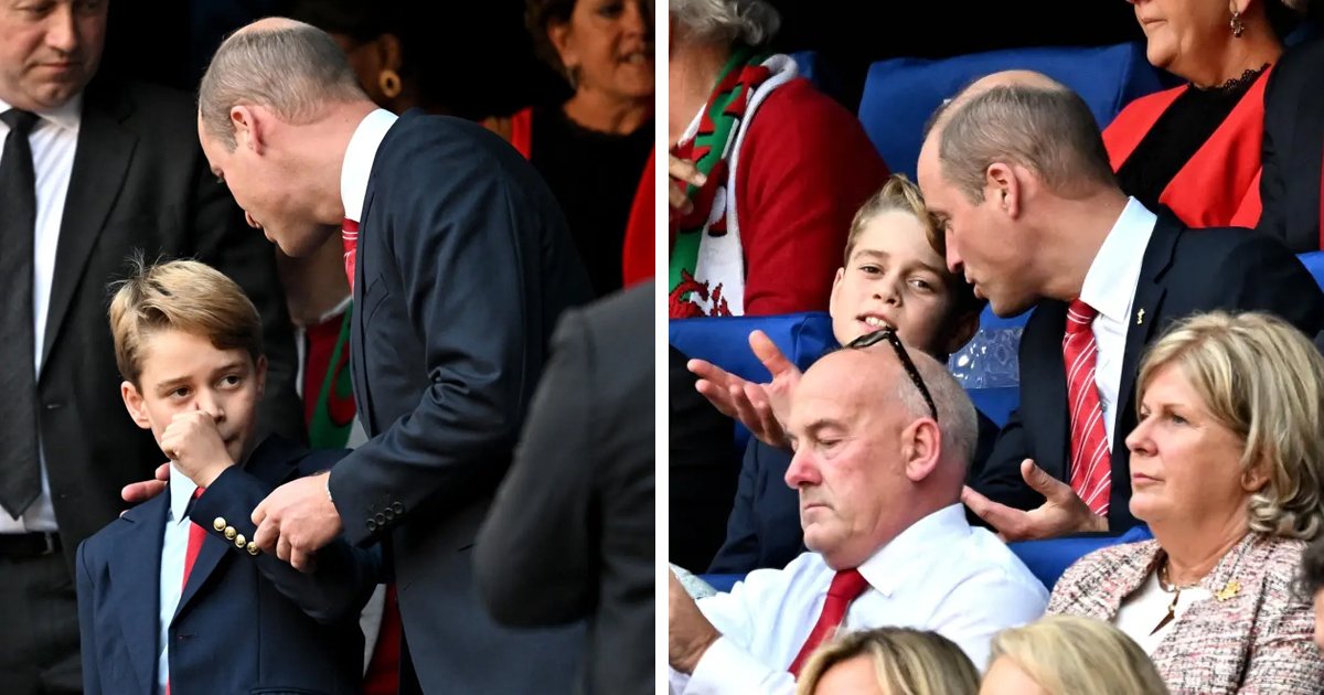 d87.jpg?resize=412,275 - EXCLUSIVE: Royal Fans Express Dismay After Prince William SCOLDS Little Prince George At Rugby World Cup Event