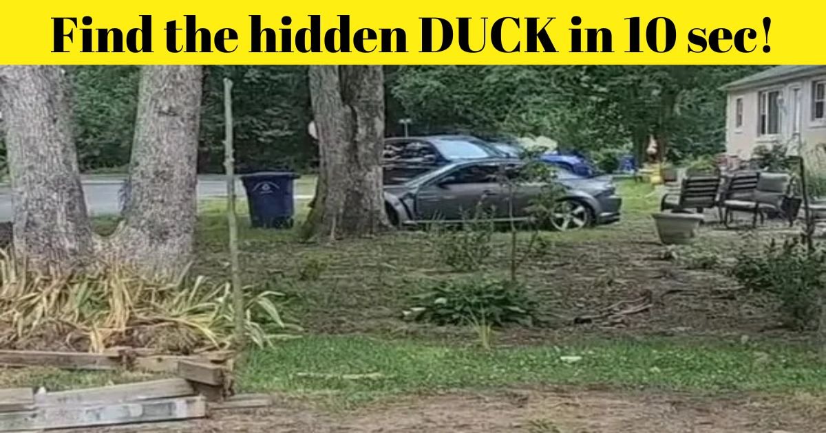 find the hidden duck in 10 sec.jpg?resize=1200,630 - Can YOU Find The HIDDEN Duck In This Picture? Only Those With 20/20 Vision Can Spot The Animal!