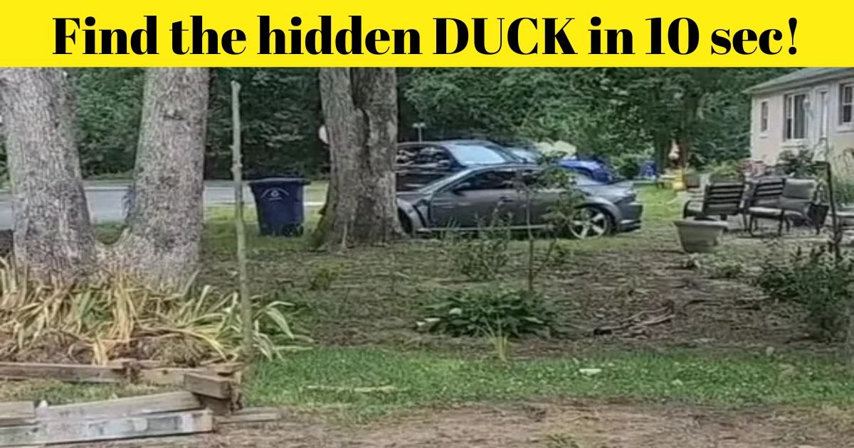 find the hidden duck in 10 sec.jpg?resize=412,275 - Can YOU Find The HIDDEN Duck In This Picture? Only Those With 20/20 Vision Can Spot The Animal!