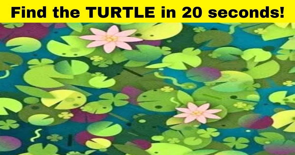 find the turtle in 10 sec.jpg?resize=1200,630 - Find The Hidden Turtle In 20 Seconds To Pass This Challenge! Can YOU Do It?