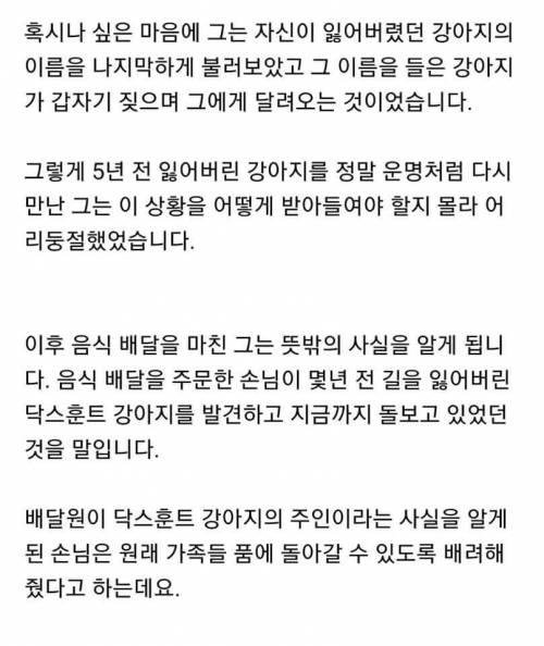 배달하러 갔다가 5년 전 잃어버린 강아지 다시 만나서 눈물 흘린 배달원