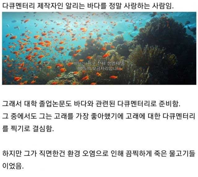 11 1.jpg?resize=412,232 - 종이빨대 백날 써봐야 의미 없는 이유