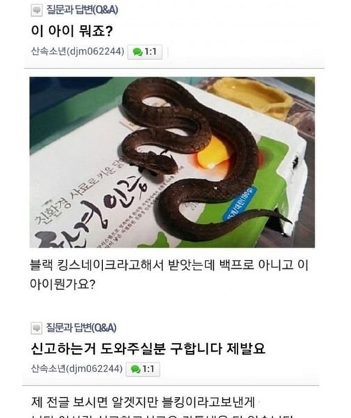 3 1.jpg?resize=412,275 - 한국에서 일어난 살모사 택배 테러 사건