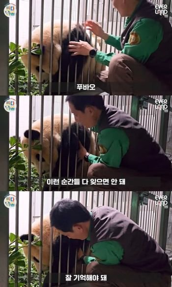 4 19.jpg?resize=412,275 - 너무 슬픈 오늘자 판다와쏭....