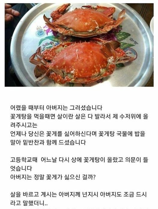 5 2.jpg?resize=412,232 - 꽃게살을 다 발라주시던 아버지