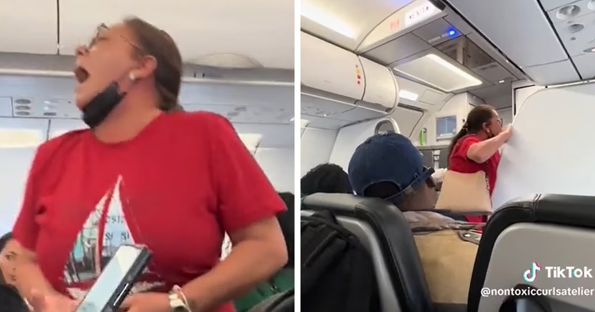 d108.jpg?resize=412,275 - BREAKING: Outrageous Moment Woman On Frontier Airlines Flight As Woman PULLS DOWN Her Pants In Aisle, Squats, & Almost PEES After Being Denied Toilet Access