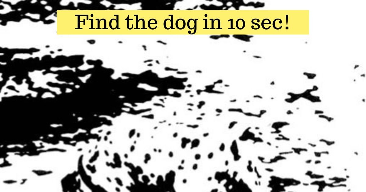 find the dog in 10 sec.jpg?resize=412,232 - Can You Spot The Hidden Dog In This Picture? The Majority Of People Can't See It!