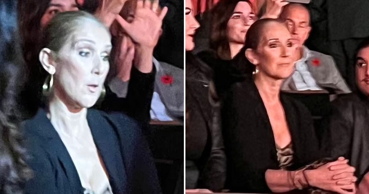 Celine Dion Makes Rare Public Appearance After Being Forced To Postpone ...