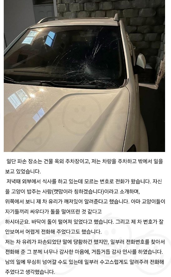 5 1.jpg?resize=412,232 - 고양이 밥 주다 자동차 부순 캣맘 레전드 ㄷㄷ (+영상)