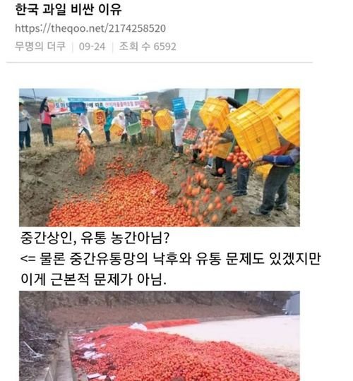 7 24.jpg?resize=1200,630 - 한국 과일 비싼 이유