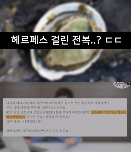 7 1 1.jpg?resize=412,275 - 충격) ㅎ르페스 걸린 전복.. ㄷㄷㄷ