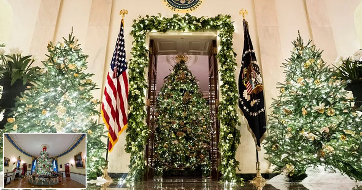 m1 10.jpg?resize=412,232 - "We Want Melania Back!"- Christmas At White House Looks 'Very Different' This Year As Jill Biden In Charge Of Decorations That Fail To Nail The Right First Impression