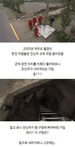 1 20.jpg?resize=1200,630 - 눈이 퇴화된 물고기가 발견된 제주도의 동굴