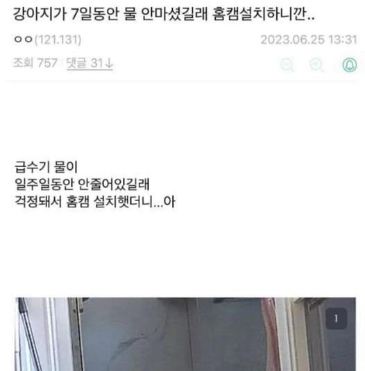 1 54.jpg?resize=412,232 - 강아지가 물을 안 마셔서 걱정.....ㅇㅏ...