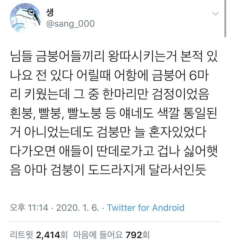 R1024x0_20230313_133955.jpeg 금붕어 사이에도 왕따라는 게 존재한다