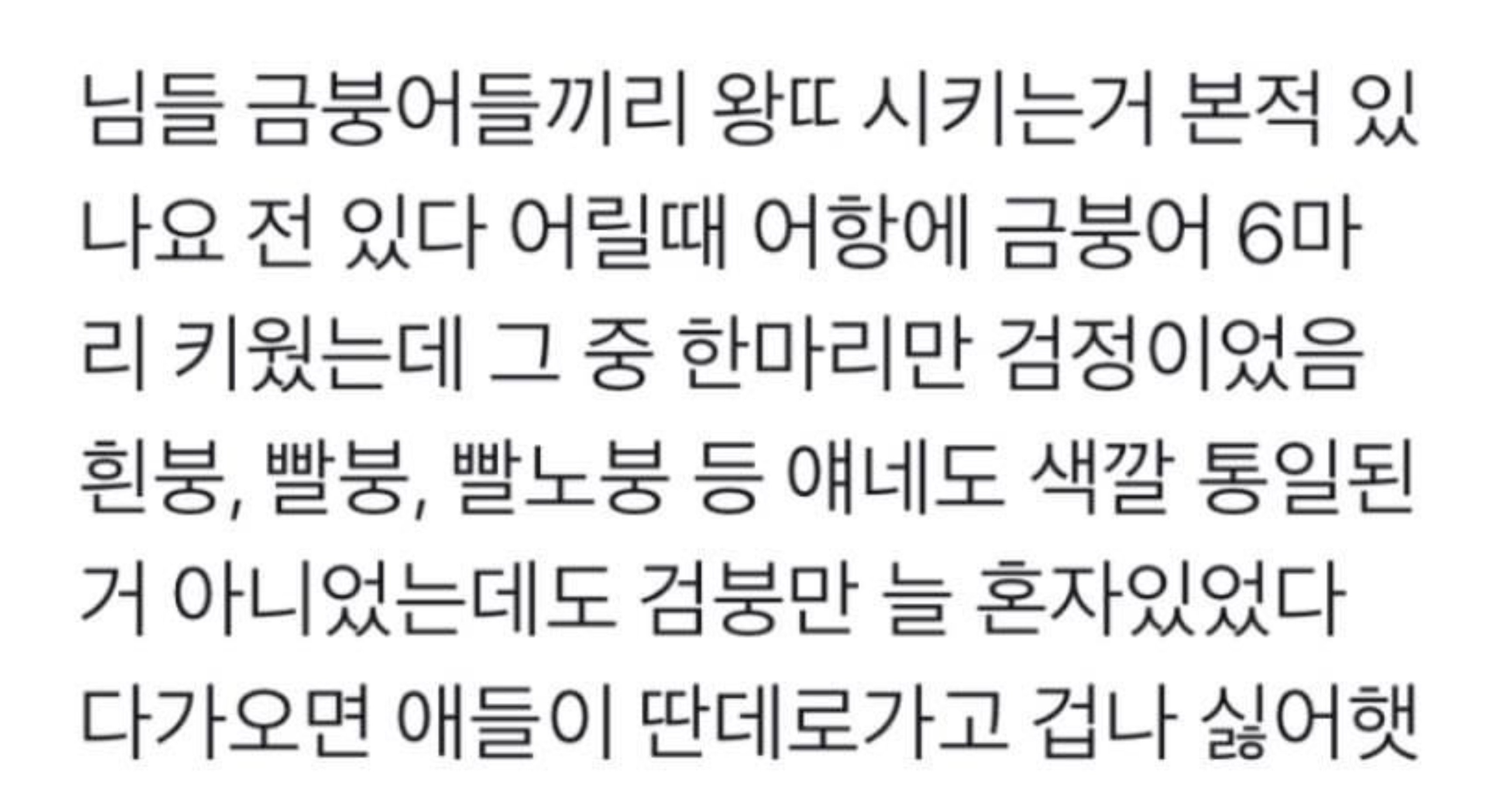 987e207b 0c05 4662 936b 0596cebe177e.jpeg?resize=412,275 - 금붕어들 사이에서도 존재하는 왕