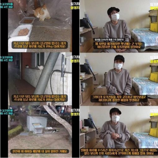 1 2.png?resize=412,232 - 캣맘 고양이 밥주다가 빚이 1억 7천 ㄷㄷ