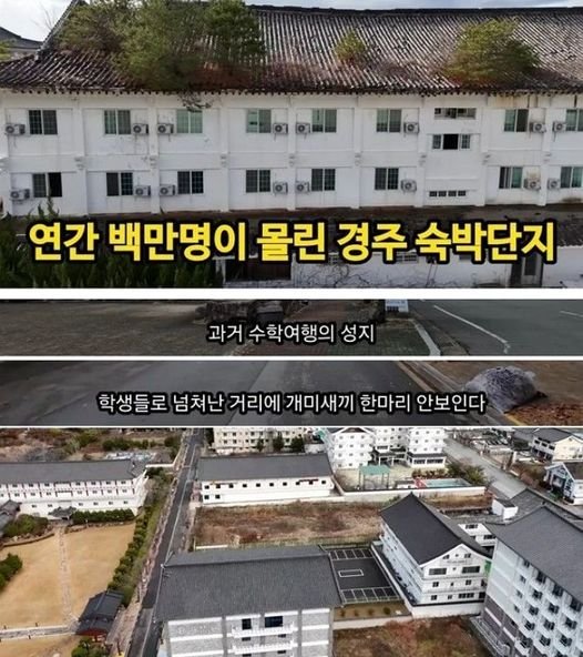 2 22.jpg?resize=1200,630 - 그동안 등쳐먹은거 생각하면 1도 측은하지 않는 곳