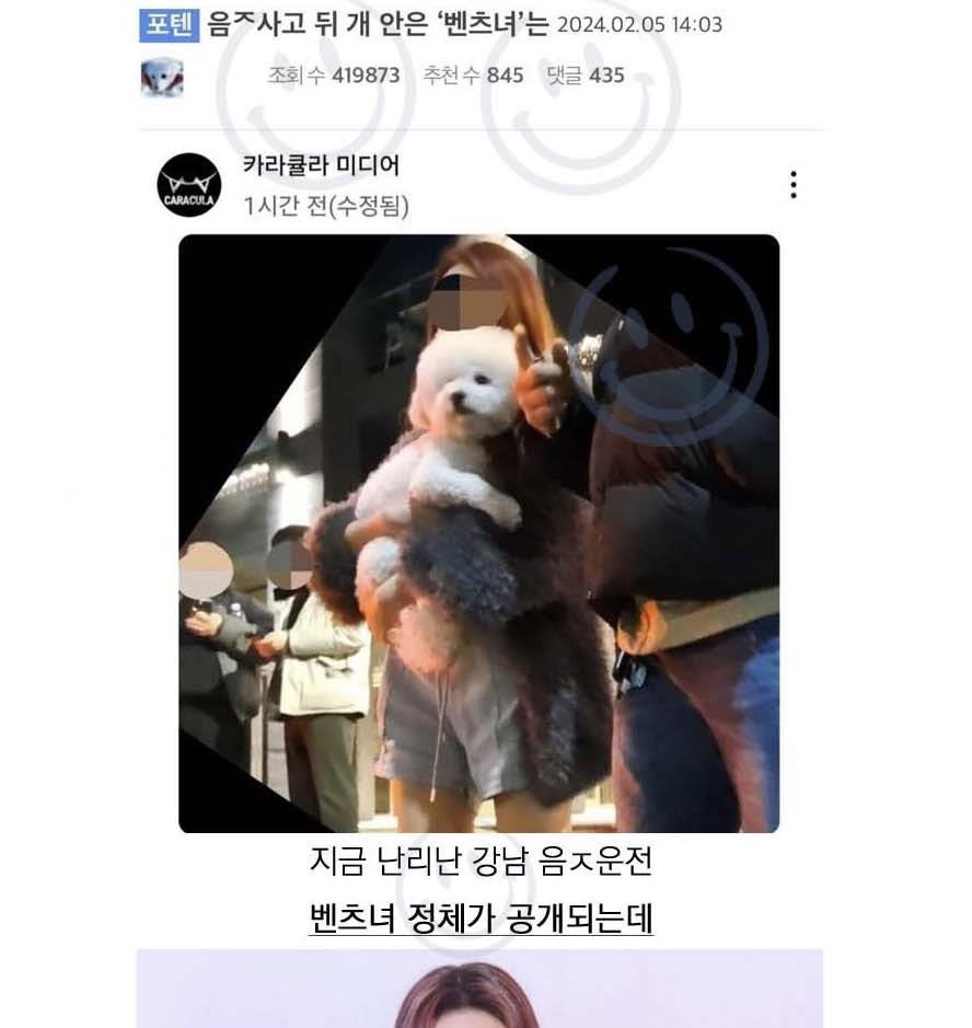 2.jpeg?resize=412,232 - 지금 난리난 강남 벤츠녀의 정체ㄷㄷ