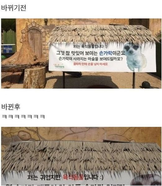 3 10.jpg?resize=412,232 - 무시무시한 어린이 대공원 미어캣 경고문