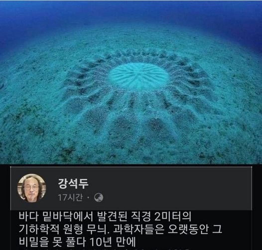 3 4.jpg?resize=1200,630 - 바다 밑바닥에서 종종 발견되는 신기한 원형 무늬의 비밀